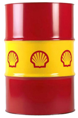 shell rimula